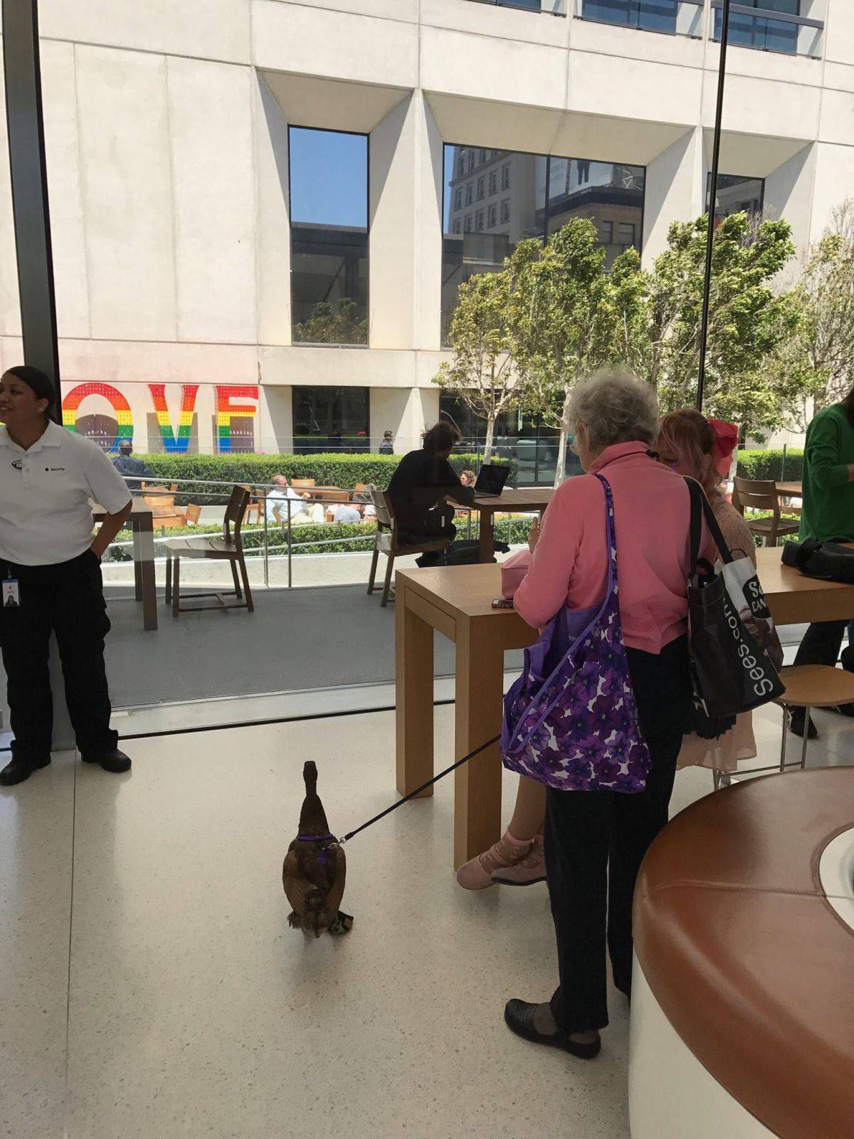 Daily Pictures. Part 2 (65 pics)