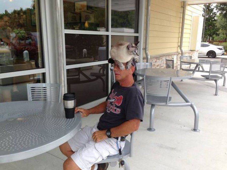 Daily Pictures. Part 2 (65 pics)