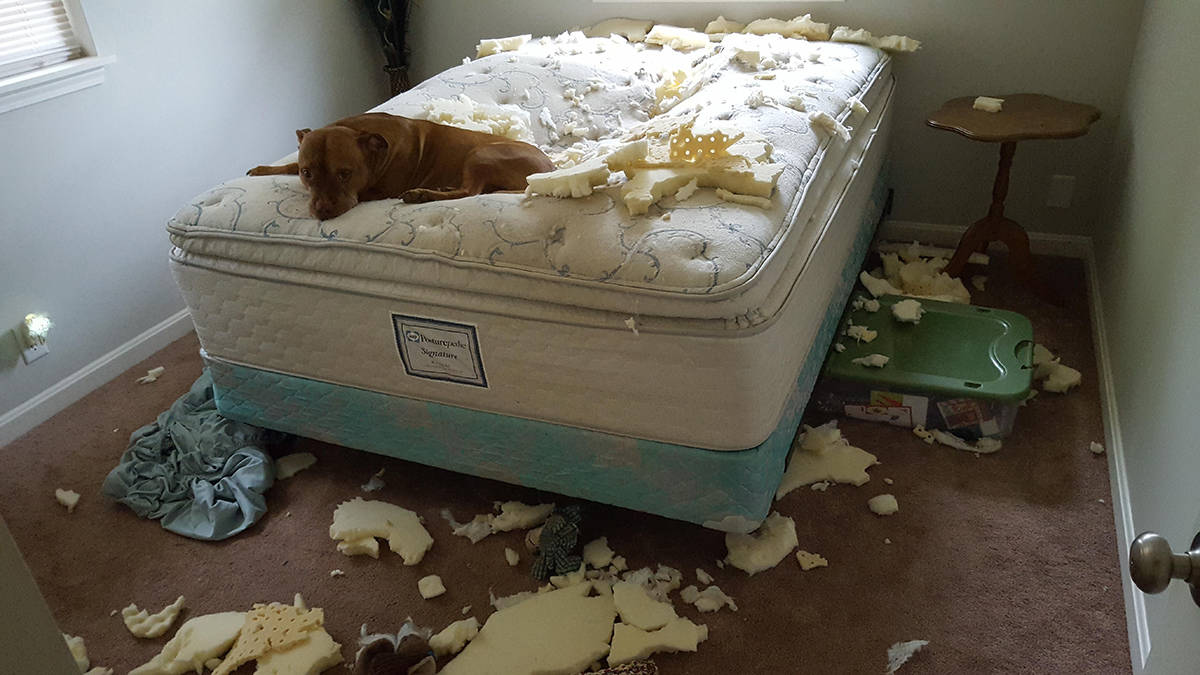 Daily Pictures. Part 1 (66 pics)