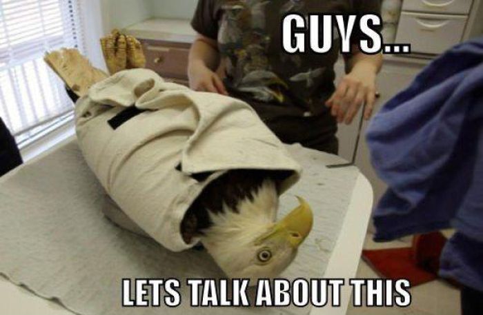 Daily Pictures. Part 2 (65 pics)