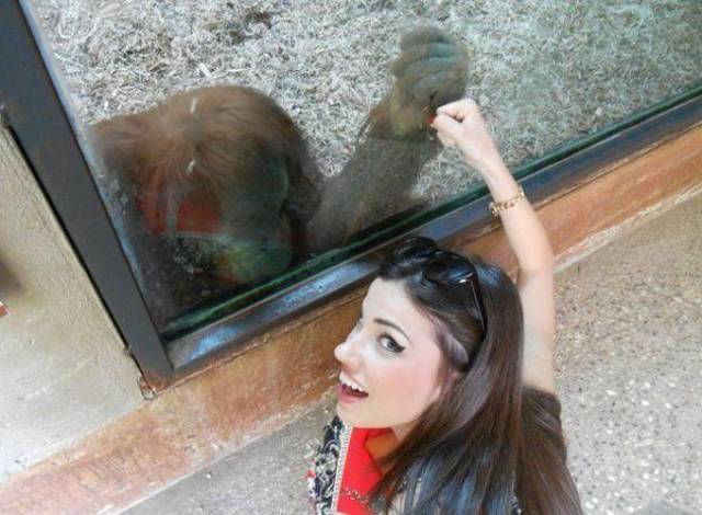 Daily Pictures. Part 2 (65 pics)