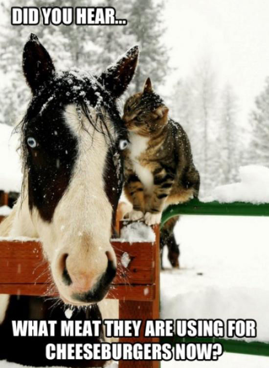 Daily Pictures. Part 2 (65 pics)