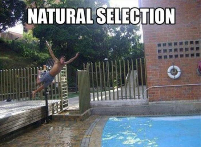 Daily Pictures. Part 2 (65 pics)