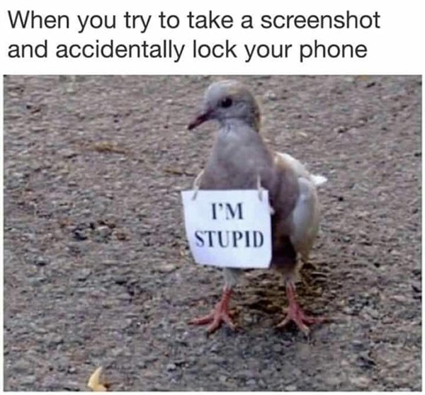 Daily Pictures. Part 2 (65 pics)