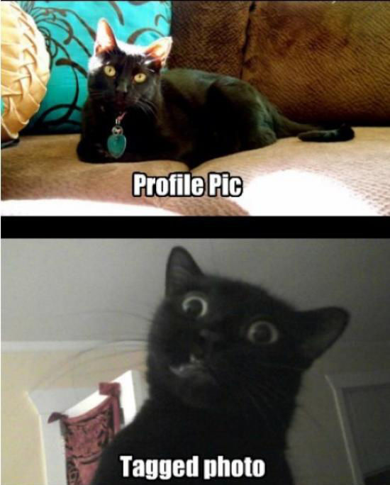 Daily Pictures. Part 2 (65 pics)