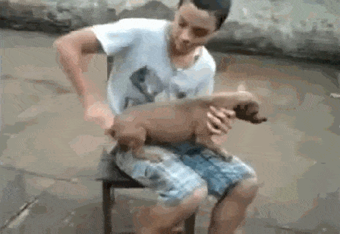 Acid GIFs, November 5 (25 gifs) Acid GIFs, November 5 (25 gifs)