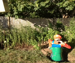 Acid GIFs, November 5 (25 gifs) Acid GIFs, November 5 (25 gifs)