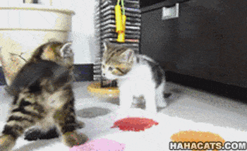 Acid GIFs, November 5 (25 gifs) Acid GIFs, November 5 (25 gifs)