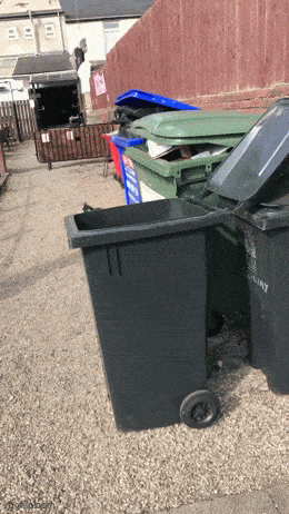 Acid GIFs, November 5 (25 gifs) Acid GIFs, November 5 (25 gifs)