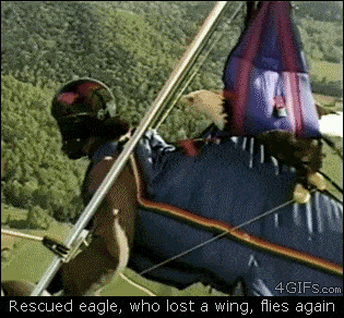 Acid GIFs, November 5 (25 gifs) Acid GIFs, November 5 (25 gifs)