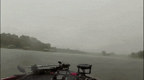 Acid GIFs, November 5 (25 gifs) Acid GIFs, November 5 (25 gifs)