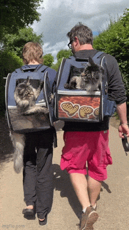 Acid GIFs, November 5 (25 gifs) Acid GIFs, November 5 (25 gifs)