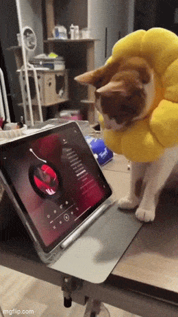 Acid GIFs, November 5 (25 gifs) Acid GIFs, November 5 (25 gifs)