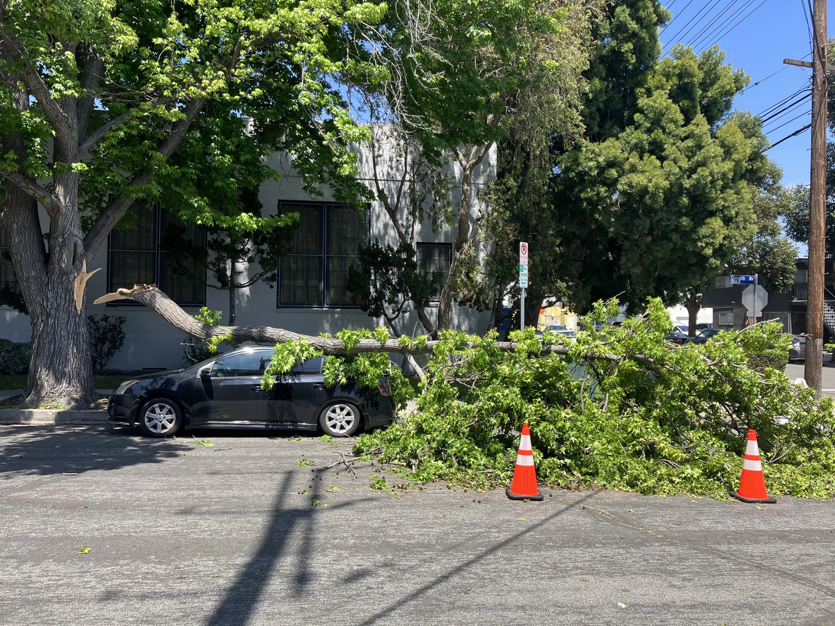 Bad Days Happen (33 pics)