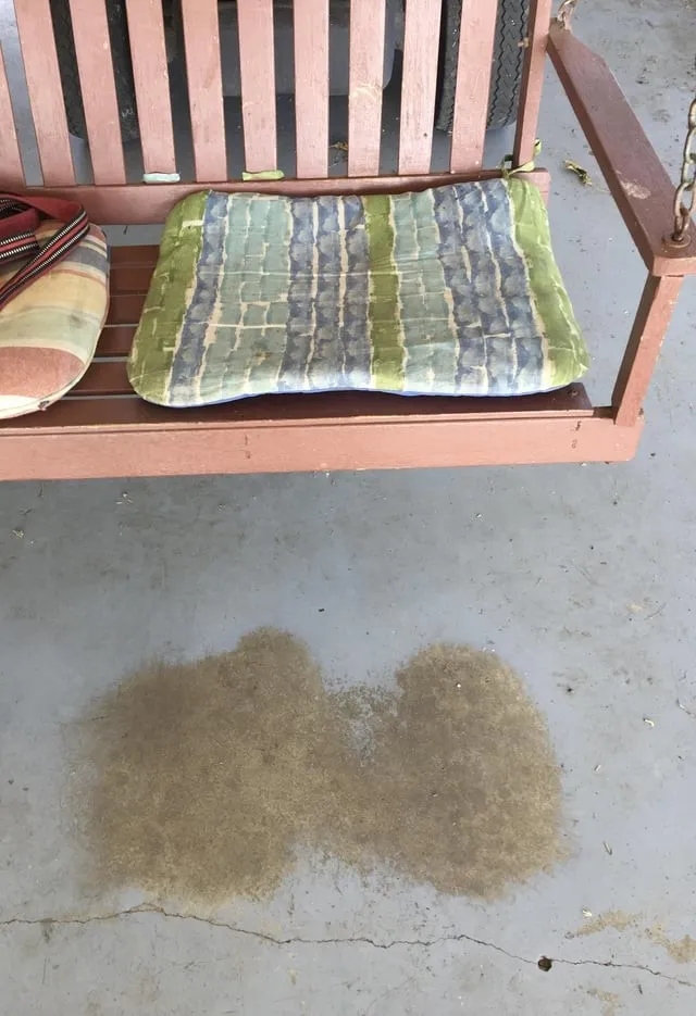 Time Changes Everything (15 pics) Time Changes Everything (15 pics)