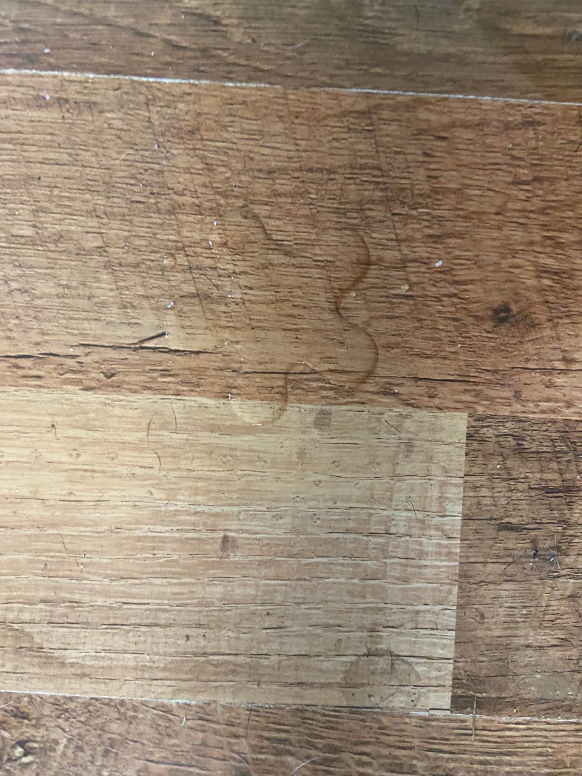 Photos For Perfectionists (27 pics) Photos For Perfectionists (27 pics)