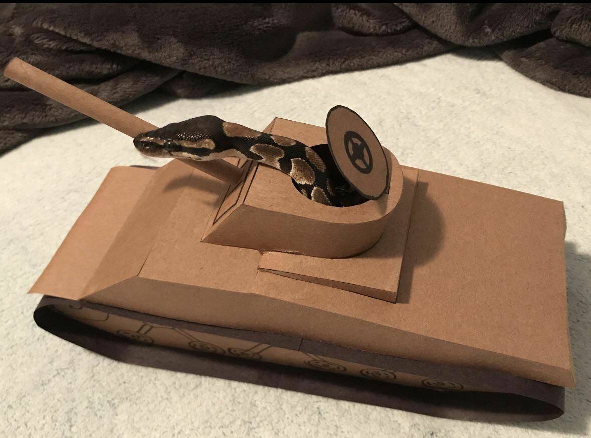 Daily Pictures. Part 1 (67 pics) Daily Pictures. Part 1 (67 pics)