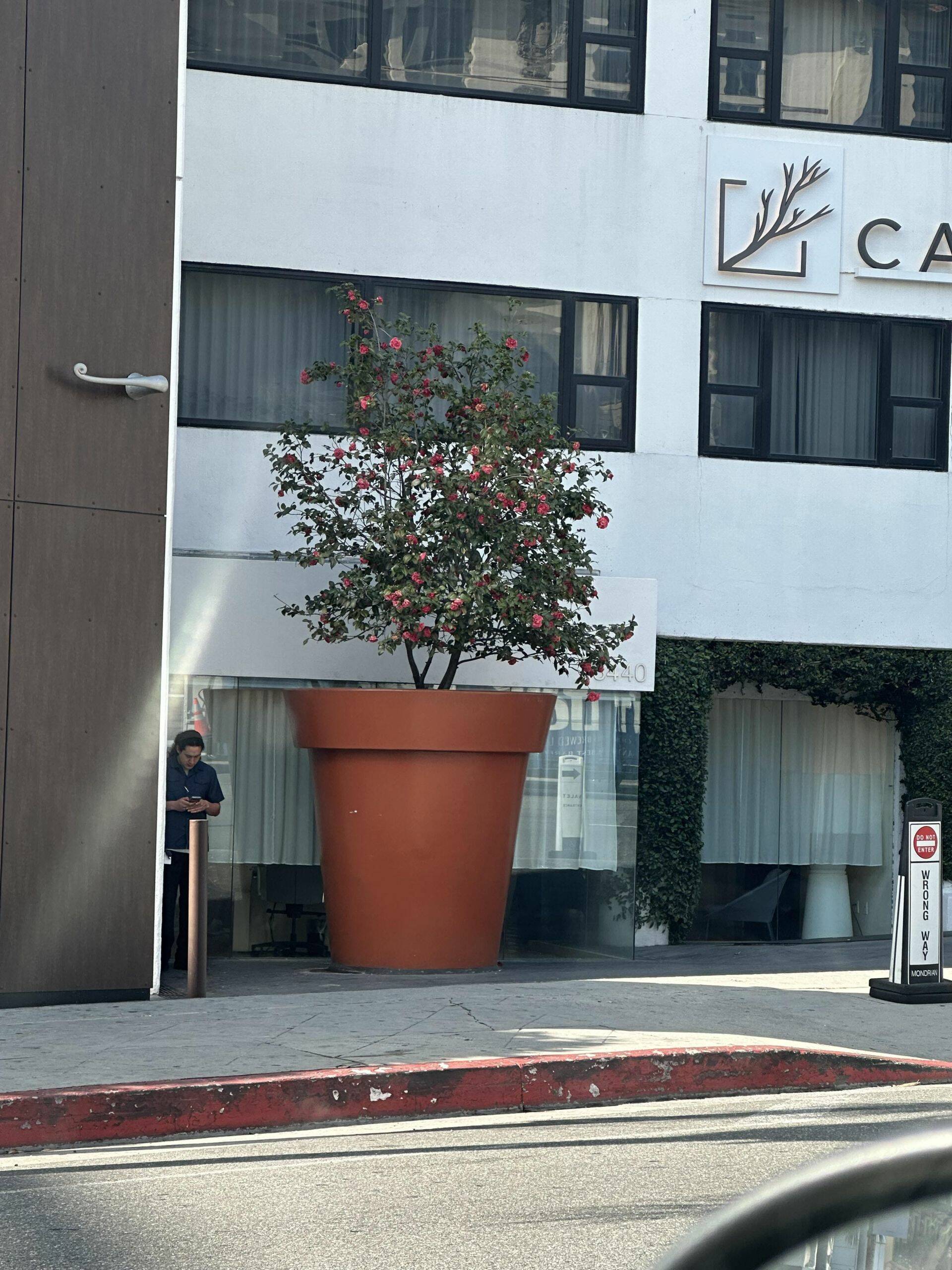 Daily Pictures. Part 1 (67 pics) Daily Pictures. Part 1 (67 pics)