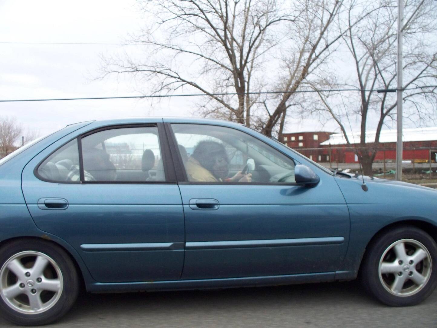 Daily Pictures. Part 1 (67 pics) Daily Pictures. Part 1 (67 pics)