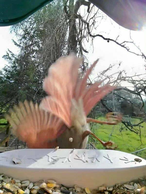 Daily Pictures. Part 1 (67 pics) Daily Pictures. Part 1 (67 pics)