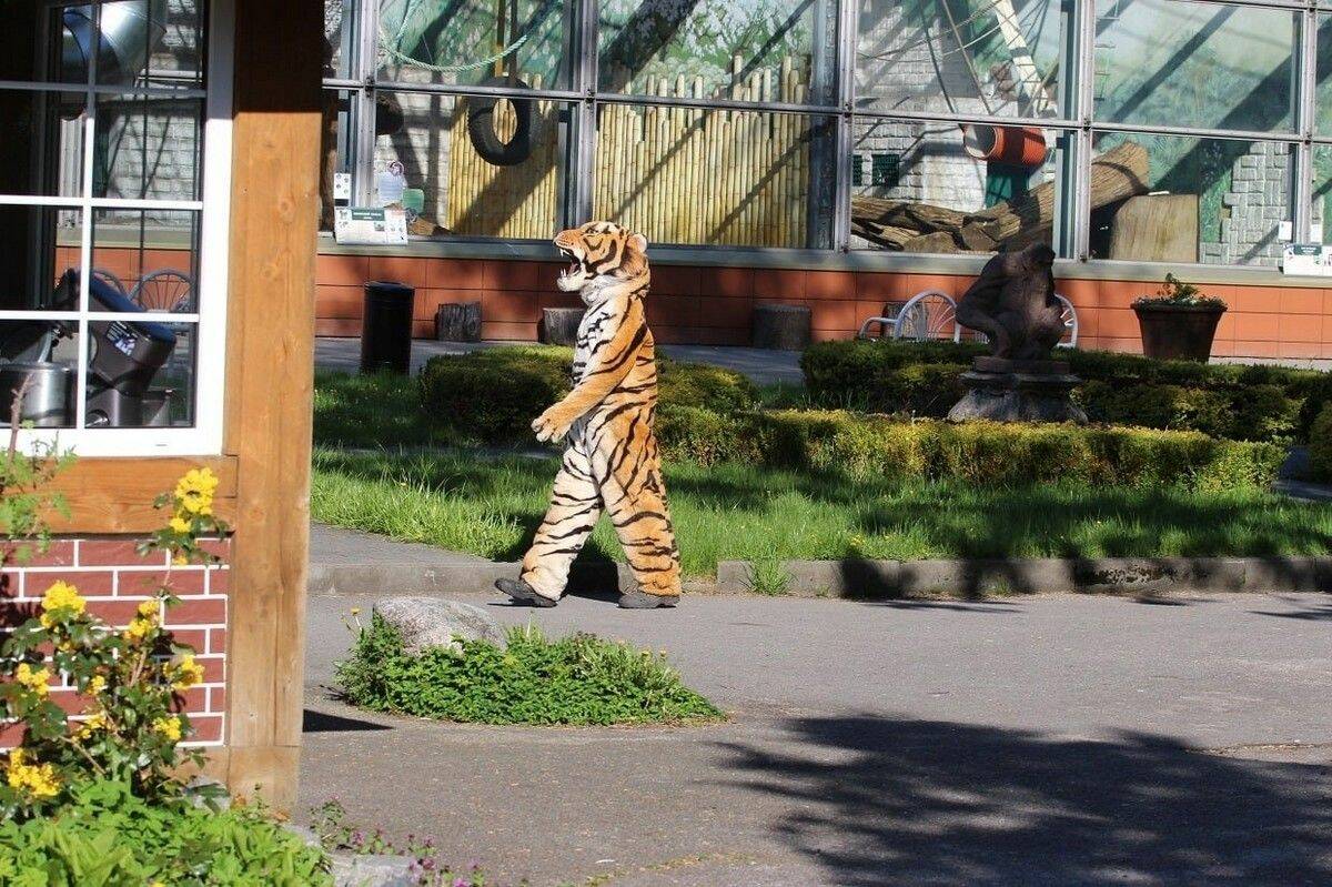 Daily Pictures. Part 1 (67 pics) Daily Pictures. Part 1 (67 pics)