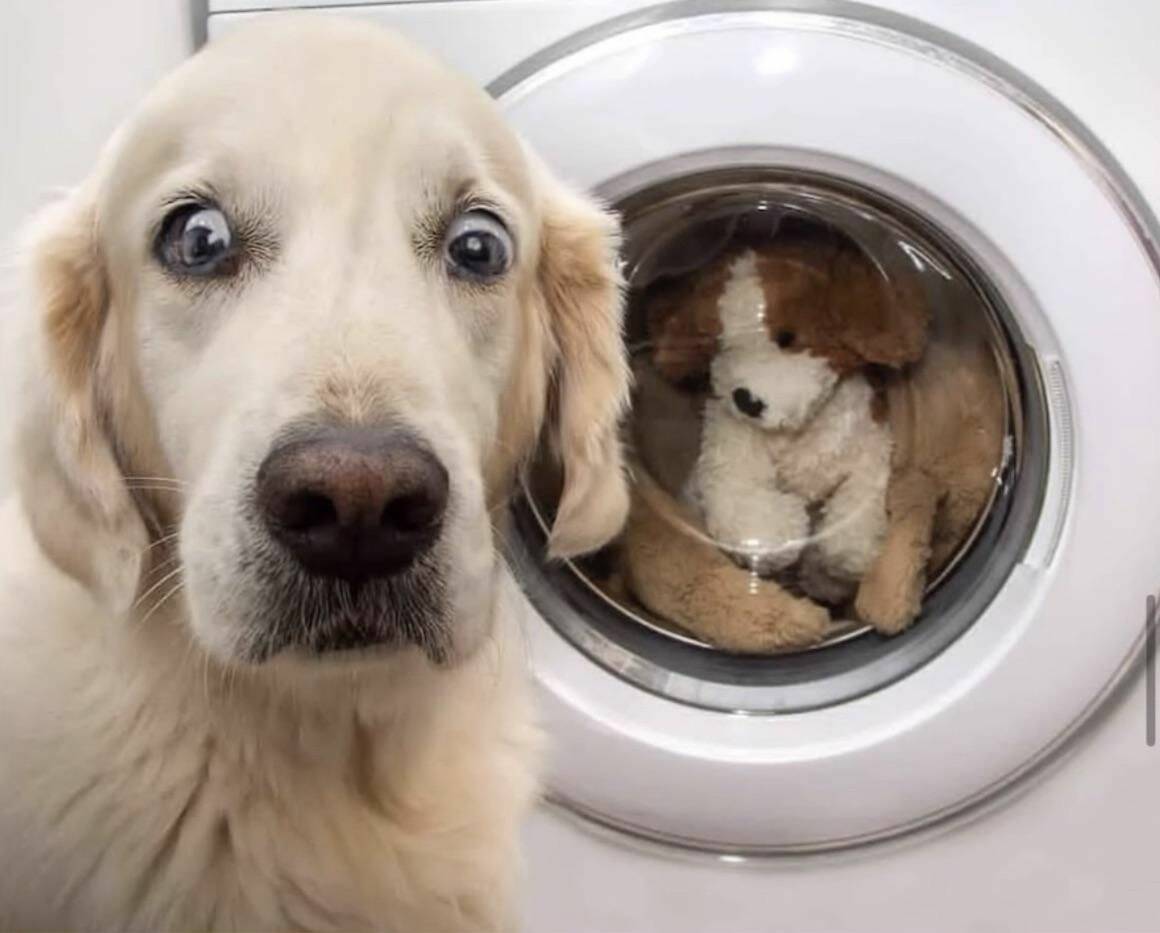 Daily Pictures. Part 1 (67 pics) Daily Pictures. Part 1 (67 pics)