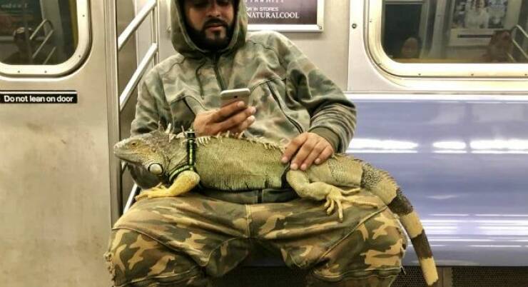 Daily Pictures. Part 2 (66 pics) Daily Pictures. Part 2 (66 pics)