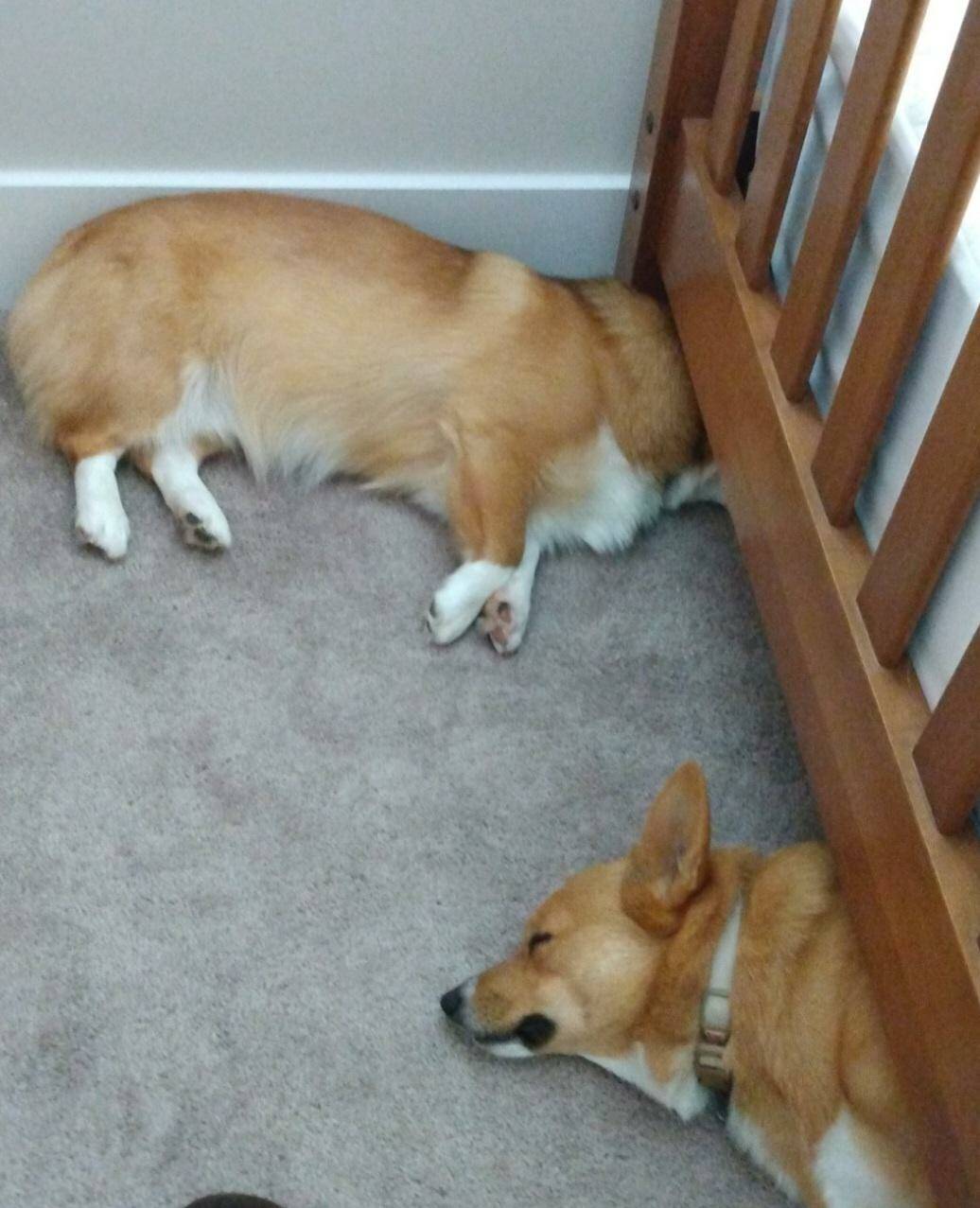 Daily Pictures. Part 2 (66 pics) Daily Pictures. Part 2 (66 pics)