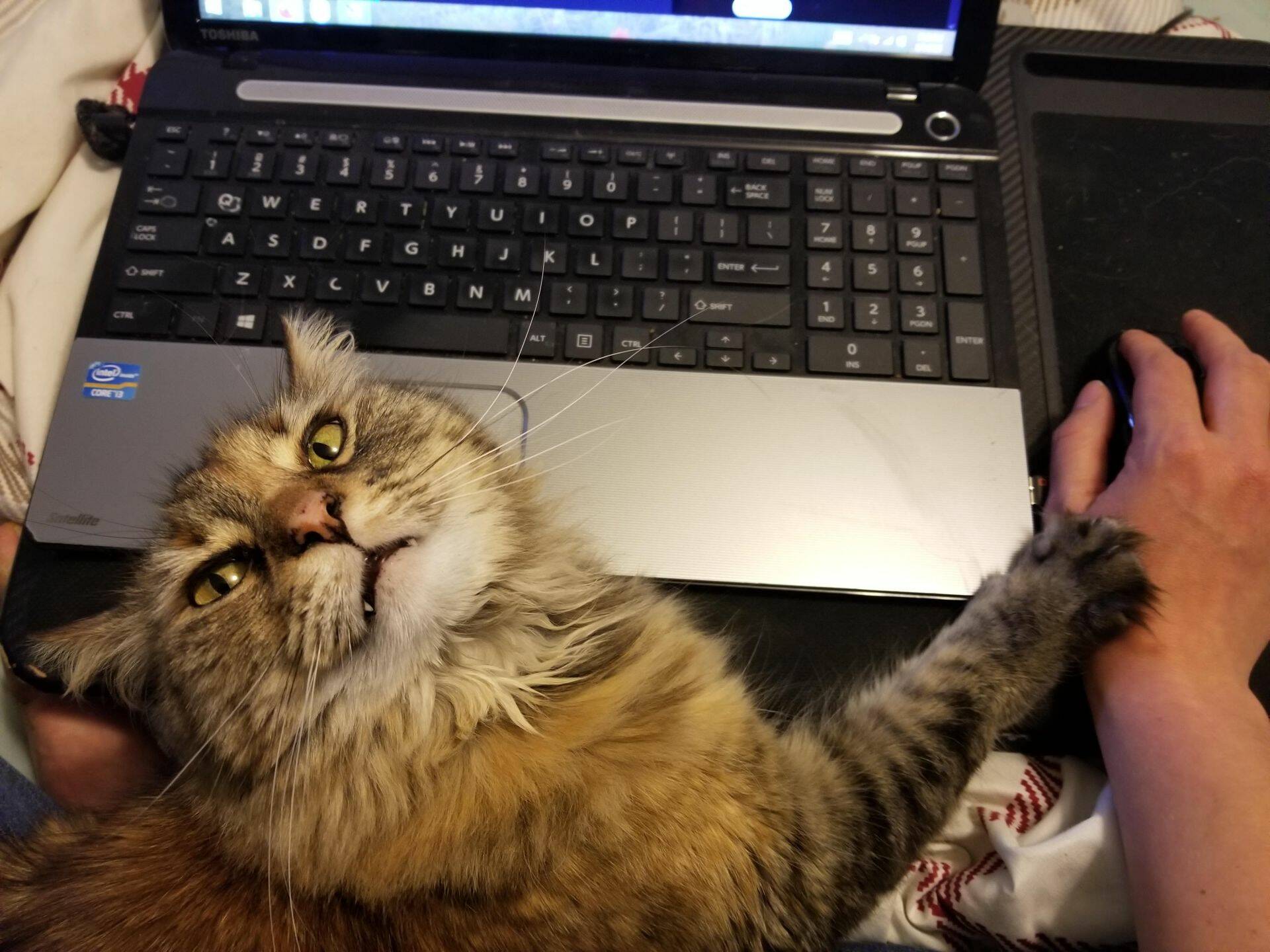 Daily Pictures. Part 2 (66 pics) Daily Pictures. Part 2 (66 pics)