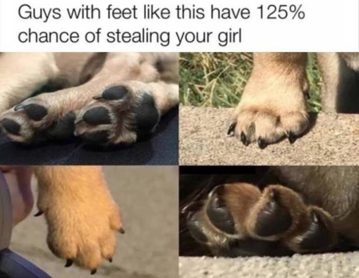 Daily Pictures. Part 2 (66 pics) Daily Pictures. Part 2 (66 pics)