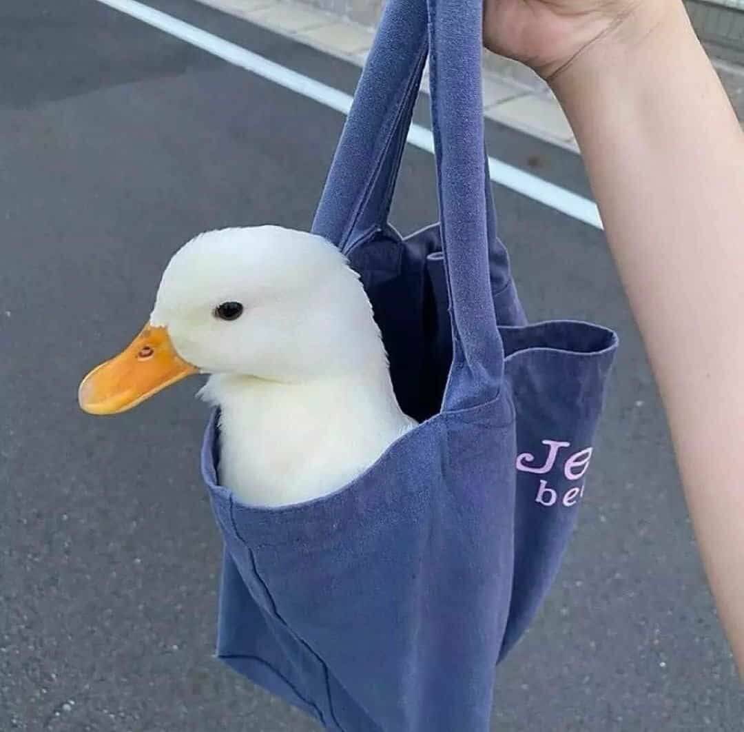 Daily Pictures. Part 2 (66 pics) Daily Pictures. Part 2 (66 pics)