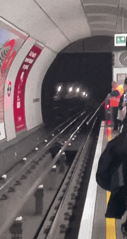 Acid GIFs, November 6 (25 gifs) Acid GIFs, November 6 (25 gifs)