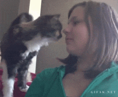 Acid GIFs, November 6 (25 gifs) Acid GIFs, November 6 (25 gifs)