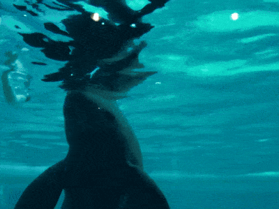 Acid GIFs, November 6 (25 gifs) Acid GIFs, November 6 (25 gifs)