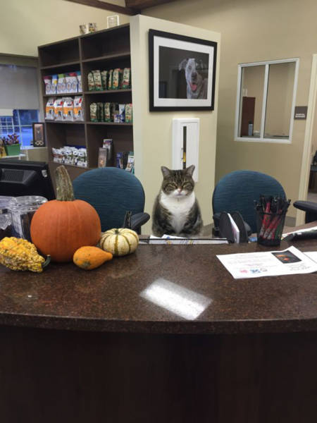 Funny Photos From Workplaces (27 pics) Funny Photos From Workplaces (27 pics)