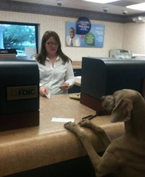 Funny Photos From Workplaces (27 pics) Funny Photos From Workplaces (27 pics)