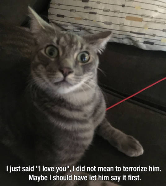 Kind Photos For A Good Mood (23 pics) Kind Photos For A Good Mood (23 pics)