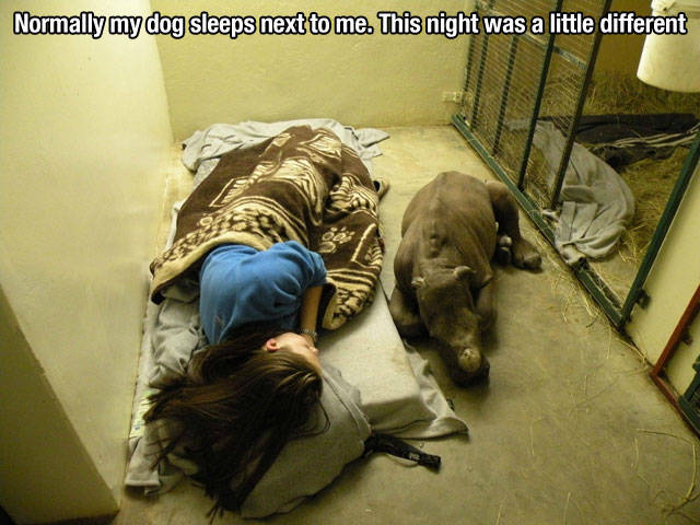 Kind Photos For A Good Mood (23 pics)