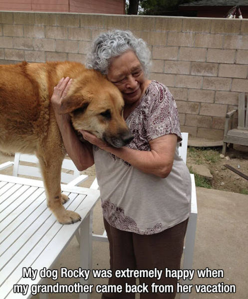 Kind Photos For A Good Mood (23 pics) Kind Photos For A Good Mood (23 pics)