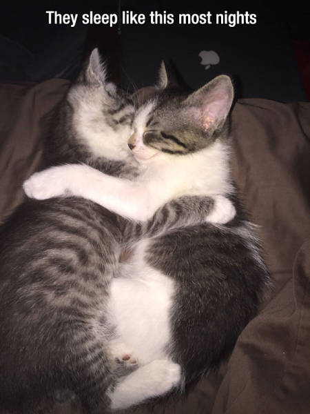 Kind Photos For A Good Mood (23 pics) Kind Photos For A Good Mood (23 pics)