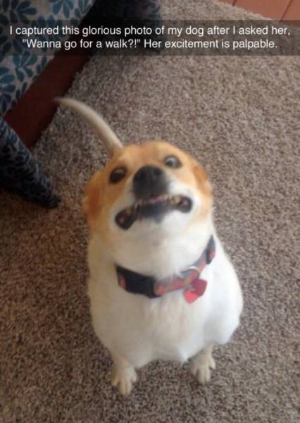 Kind Photos For A Good Mood (23 pics) Kind Photos For A Good Mood (23 pics)