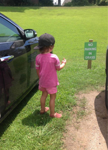 They Don't Care About The Rules (23 pics) They Don't Care About The Rules (23 pics)