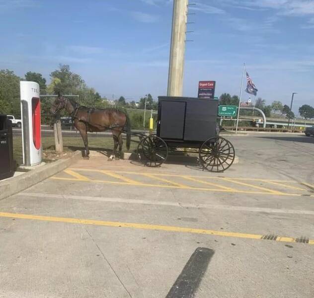 Daily Pictures. Part 1 (63 pics) Daily Pictures. Part 1 (63 pics)