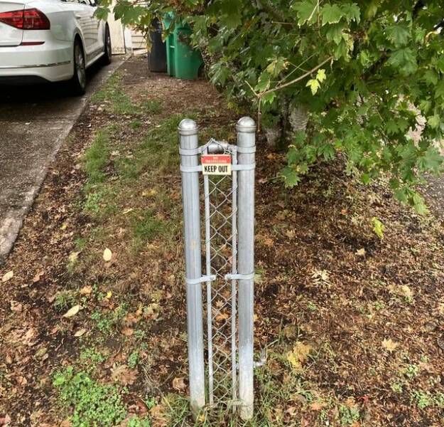 Daily Pictures. Part 1 (63 pics) Daily Pictures. Part 1 (63 pics)