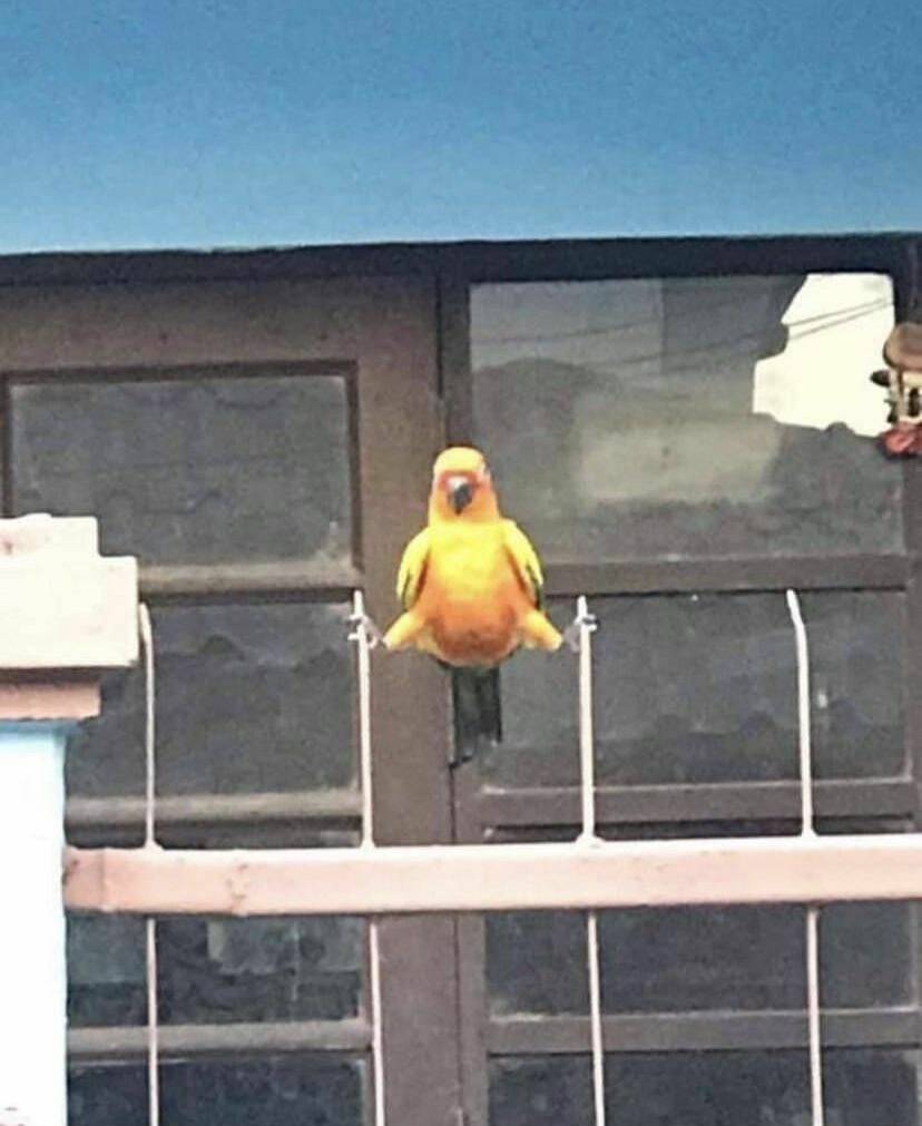 Daily Pictures. Part 1 (63 pics) Daily Pictures. Part 1 (63 pics)