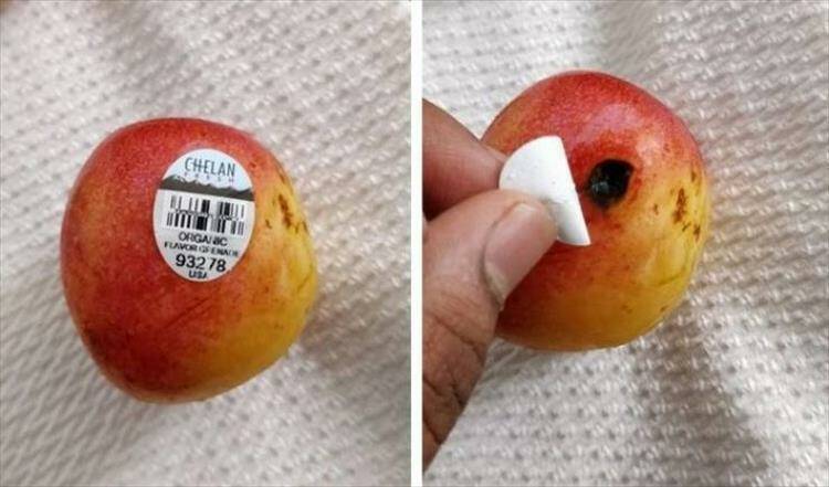 Daily Pictures. Part 1 (63 pics) Daily Pictures. Part 1 (63 pics)