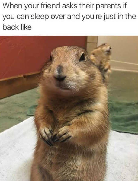 Daily Pictures. Part 2 (62 pics) Daily Pictures. Part 2 (62 pics)