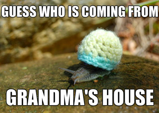 Daily Pictures. Part 2 (62 pics) Daily Pictures. Part 2 (62 pics)