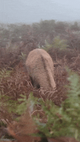 Acid GIFs, November 7 (25 gifs) Acid GIFs, November 7 (25 gifs)