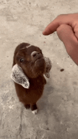 Acid GIFs, November 7 (25 gifs) Acid GIFs, November 7 (25 gifs)